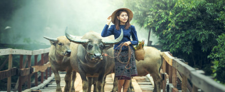 Album : Galeri Desa 3